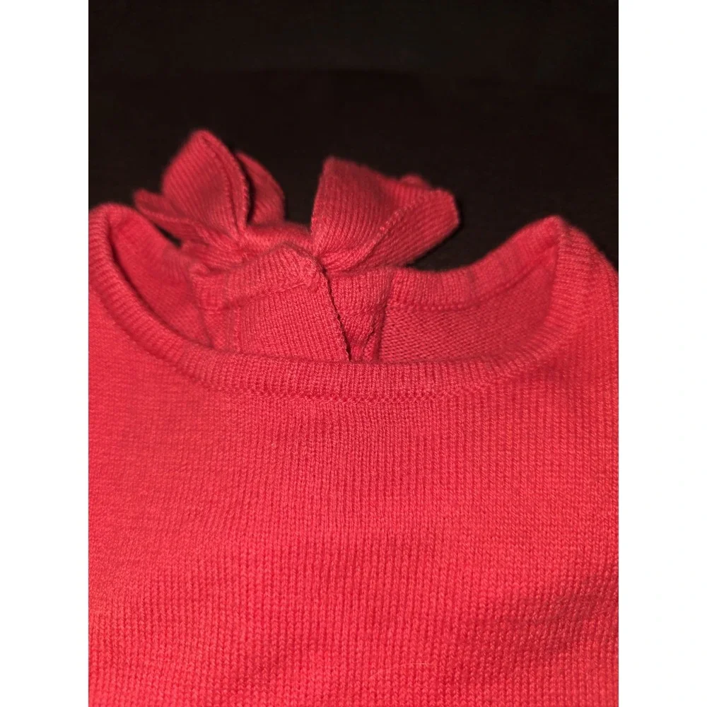 Gymboree ciao puppy sweater dress dog size 3t
